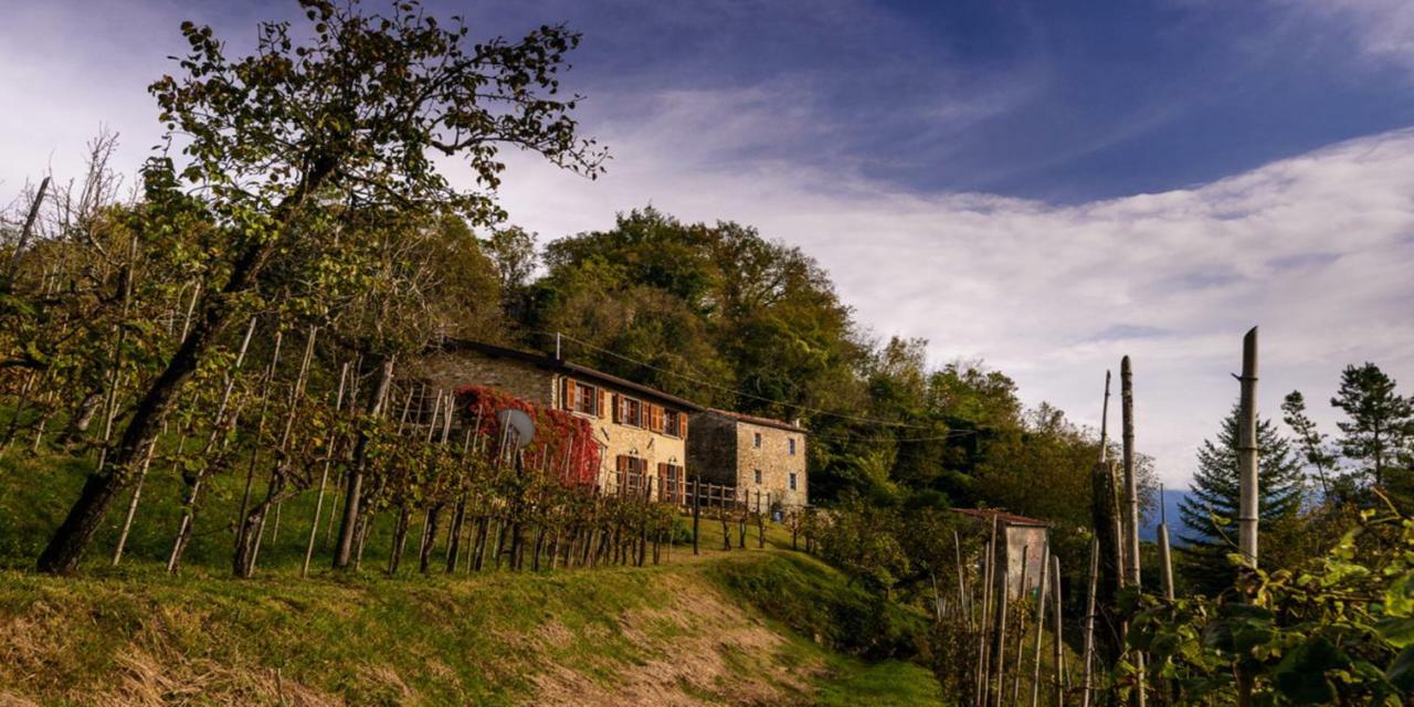 Casa Del'Orto Villa Bigliolo Eksteriør billede